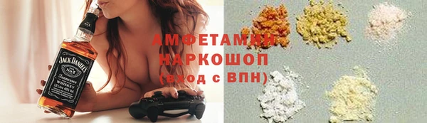 индика Медногорск