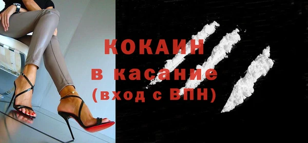 индика Медногорск