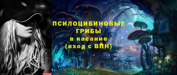 индика Вязники