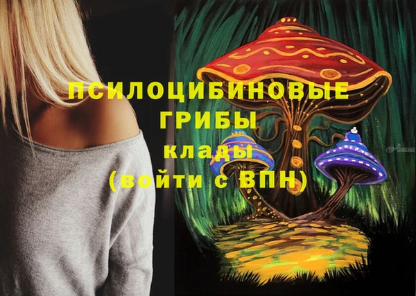 шишки Вязьма