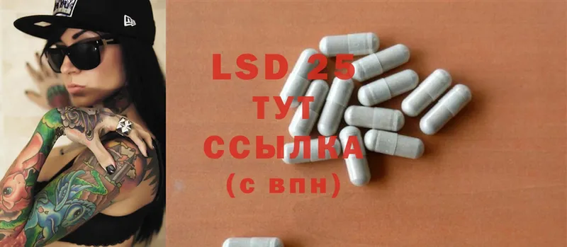 LSD-25 экстази ecstasy  Каргополь 